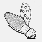Podeszwy